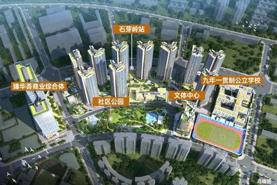 效果图