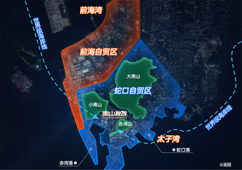 1-241102161314420.jpg