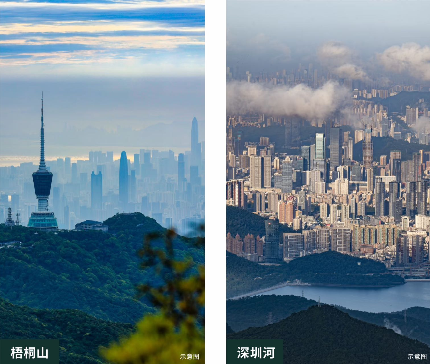 金岸里(图8)