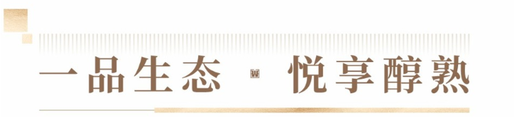 华联峦山府(图7)